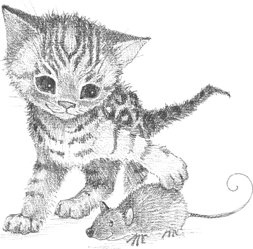 Котенок Милли, или С возвращением, леопард! Котенок Милли, или С возвращением, леопард!