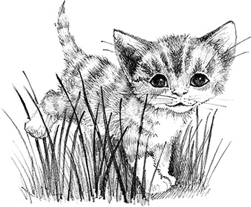 Котенок пират, или Ловкий коготь Котенок пират, или Ловкий коготь