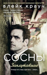 Сосны. Заплутавшие - Блейк Крауч - Читать книги онлайн | Слушать аудиокниги онлайн | Электронная библиотека books-lib.com