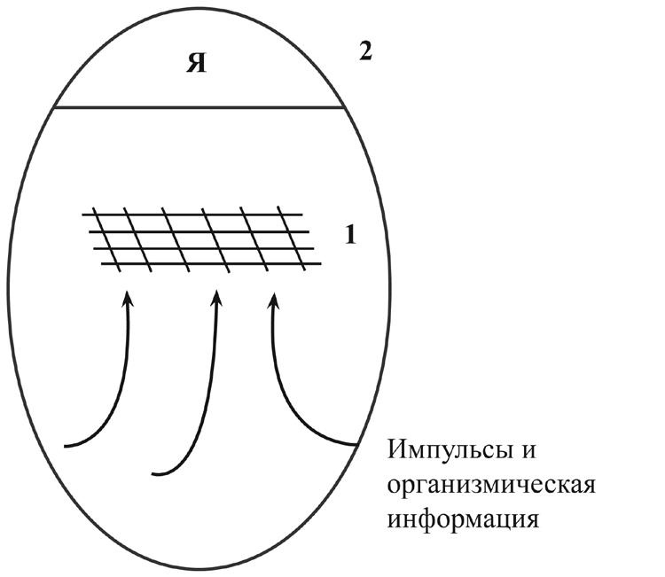Проект "Человек" Проект "Человек"