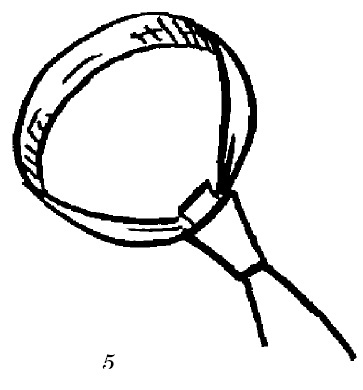 Шарфик, платочек, парео. Как красиво и модно повязать Шарфик, платочек, парео. Как красиво и модно повязать