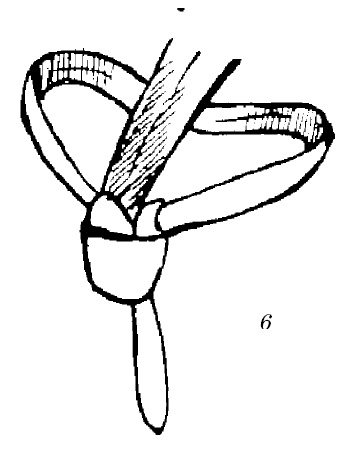 Шарфик, платочек, парео. Как красиво и модно повязать Шарфик, платочек, парео. Как красиво и модно повязать