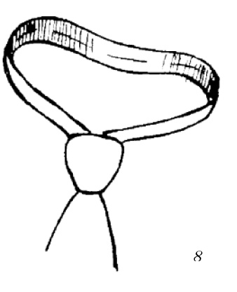 Шарфик, платочек, парео. Как красиво и модно повязать Шарфик, платочек, парео. Как красиво и модно повязать