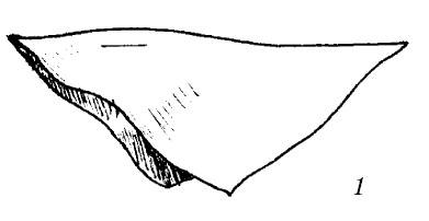 Шарфик, платочек, парео. Как красиво и модно повязать Шарфик, платочек, парео. Как красиво и модно повязать