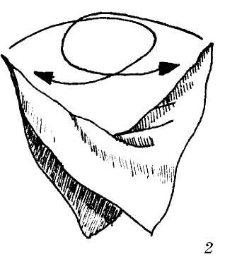 Шарфик, платочек, парео. Как красиво и модно повязать Шарфик, платочек, парео. Как красиво и модно повязать