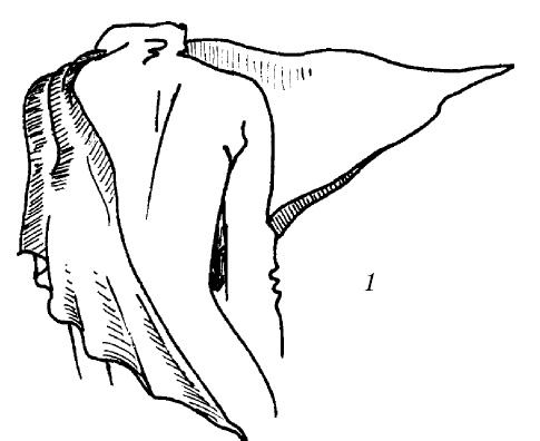 Шарфик, платочек, парео. Как красиво и модно повязать Шарфик, платочек, парео. Как красиво и модно повязать