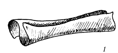 Шарфик, платочек, парео. Как красиво и модно повязать Шарфик, платочек, парео. Как красиво и модно повязать