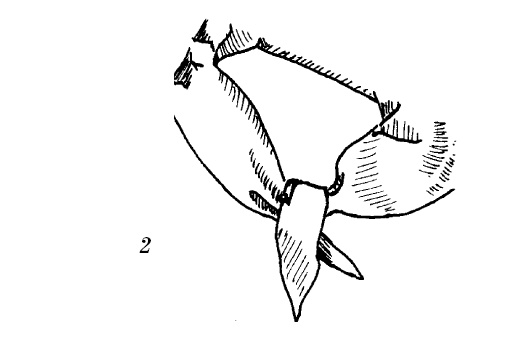 Шарфик, платочек, парео. Как красиво и модно повязать Шарфик, платочек, парео. Как красиво и модно повязать