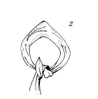 Шарфик, платочек, парео. Как красиво и модно повязать Шарфик, платочек, парео. Как красиво и модно повязать