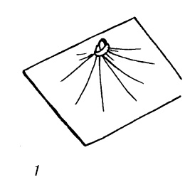 Шарфик, платочек, парео. Как красиво и модно повязать Шарфик, платочек, парео. Как красиво и модно повязать