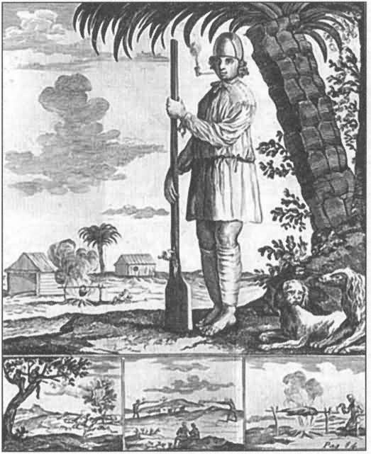 Пираты острова Тортуга Пираты острова Тортуга