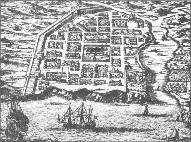 Пираты острова Тортуга Пираты острова Тортуга