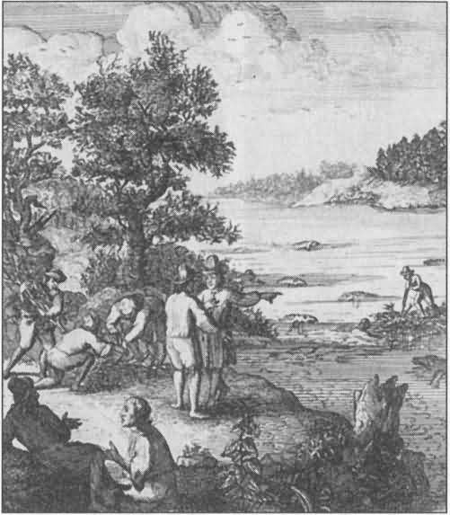 Пираты острова Тортуга Пираты острова Тортуга