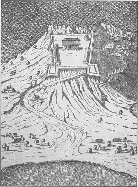 Пираты острова Тортуга Пираты острова Тортуга