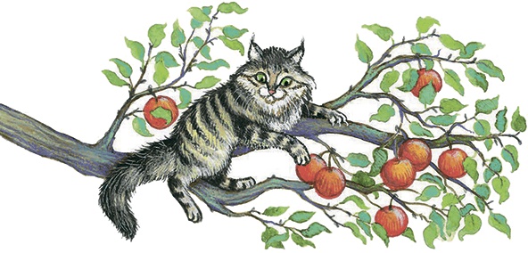 Необыкновенные приключения кошки Нюси. Домовой и тайна волшебной книги Необыкновенные приключения кошки Нюси. Домовой и тайна волшебной книги