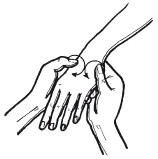 Эксклюзивный маникюр и педикюр Эксклюзивный маникюр и педикюр