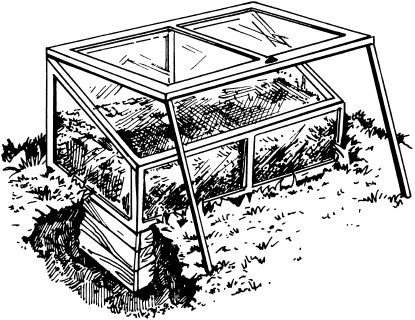 Большая энциклопедия дачника Большая энциклопедия дачника