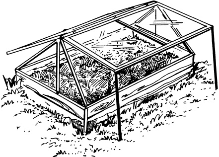Большая энциклопедия дачника Большая энциклопедия дачника
