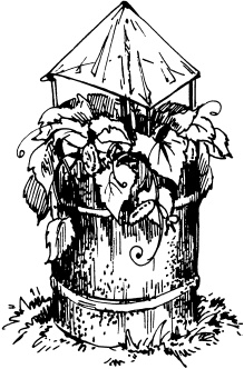 Большая энциклопедия дачника Большая энциклопедия дачника