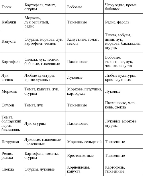 Большая энциклопедия дачника Большая энциклопедия дачника