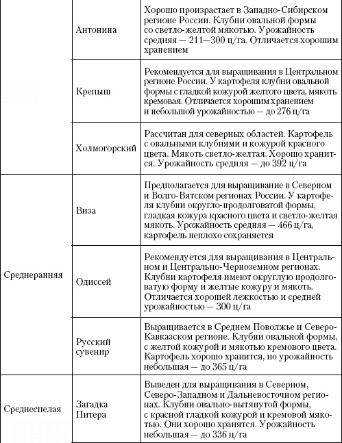 Большая энциклопедия дачника Большая энциклопедия дачника