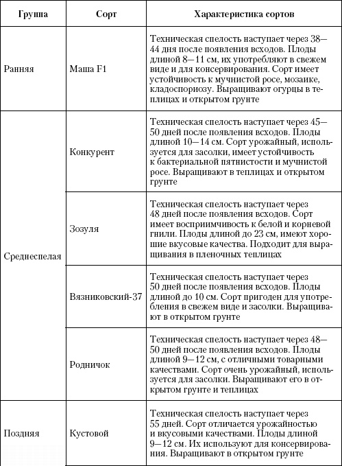 Большая энциклопедия дачника Большая энциклопедия дачника
