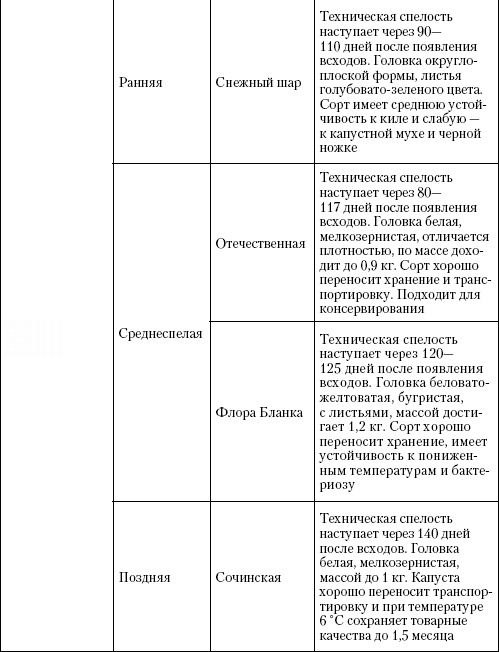 Большая энциклопедия дачника Большая энциклопедия дачника