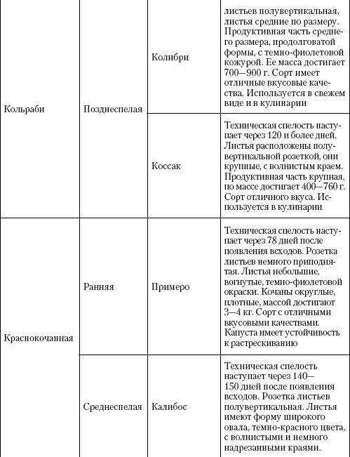 Большая энциклопедия дачника Большая энциклопедия дачника