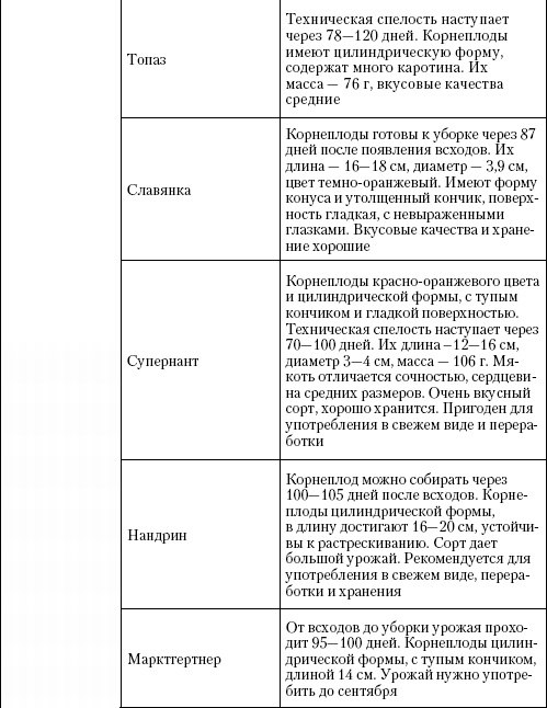 Большая энциклопедия дачника Большая энциклопедия дачника