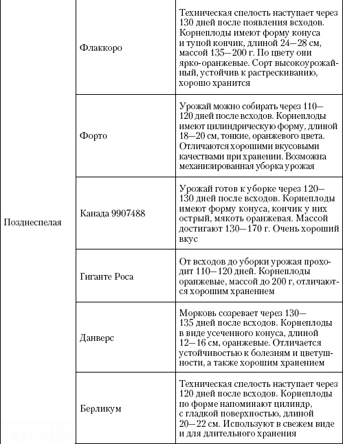 Большая энциклопедия дачника Большая энциклопедия дачника