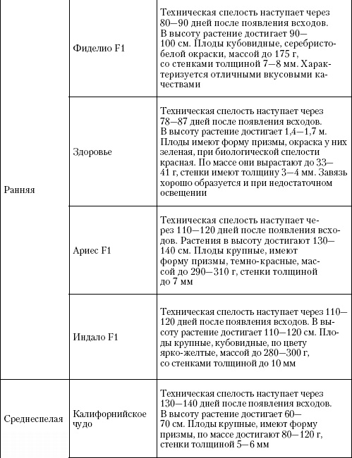 Большая энциклопедия дачника Большая энциклопедия дачника