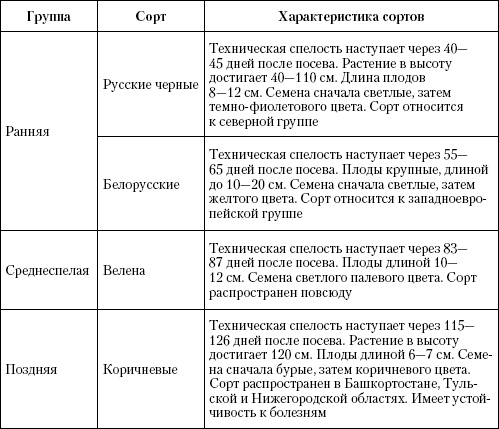 Большая энциклопедия дачника Большая энциклопедия дачника