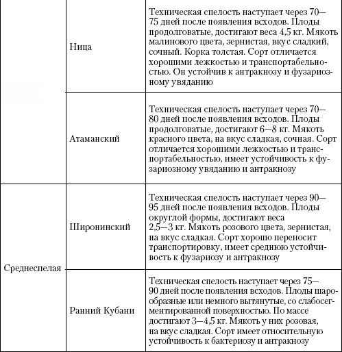 Большая энциклопедия дачника Большая энциклопедия дачника