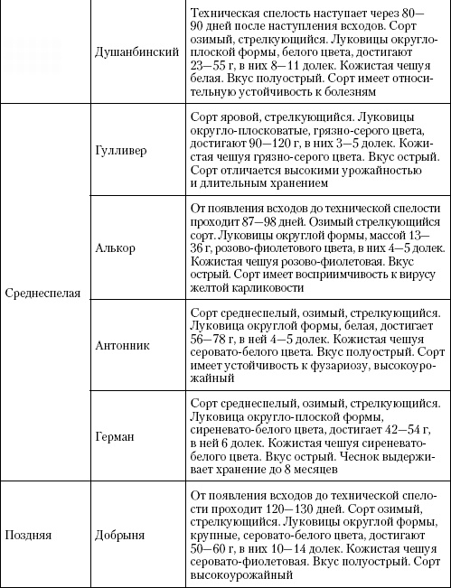 Большая энциклопедия дачника Большая энциклопедия дачника