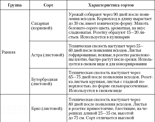 Большая энциклопедия дачника Большая энциклопедия дачника