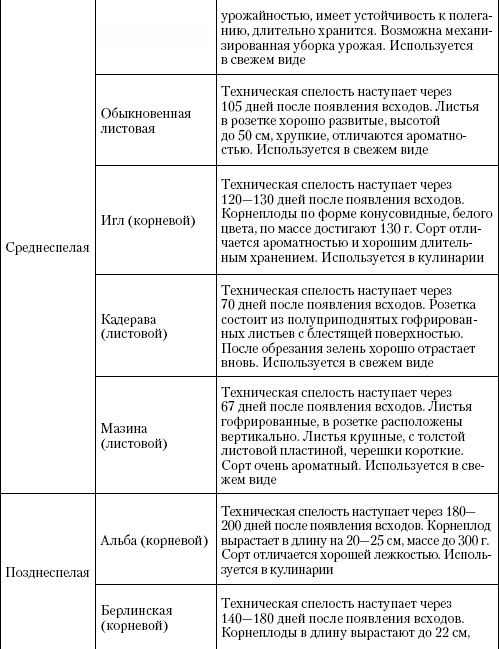 Большая энциклопедия дачника Большая энциклопедия дачника