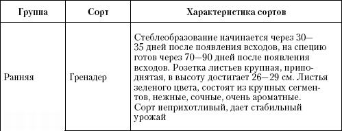 Большая энциклопедия дачника Большая энциклопедия дачника