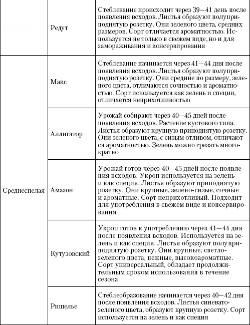 Большая энциклопедия дачника Большая энциклопедия дачника