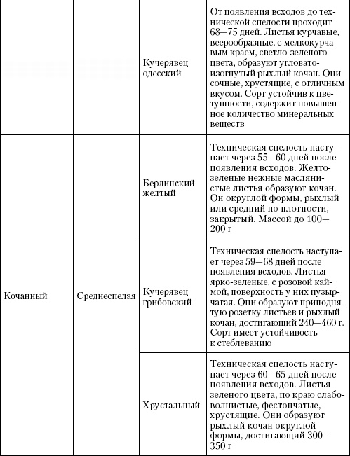 Большая энциклопедия дачника Большая энциклопедия дачника