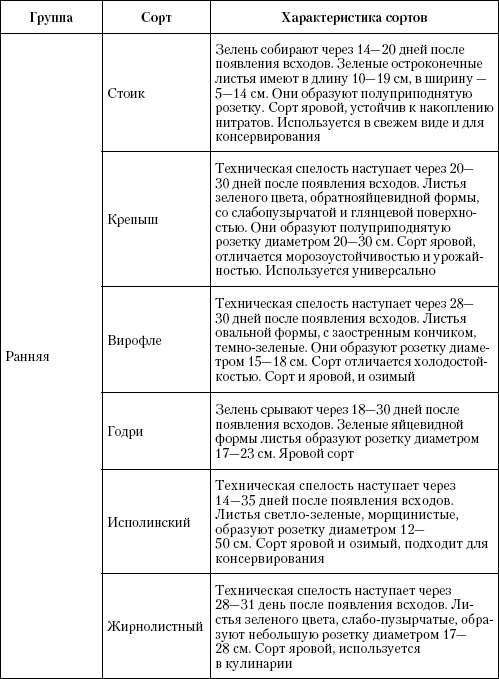 Большая энциклопедия дачника Большая энциклопедия дачника
