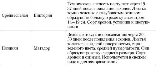 Большая энциклопедия дачника Большая энциклопедия дачника