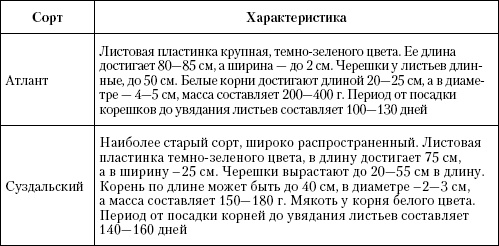 Большая энциклопедия дачника Большая энциклопедия дачника