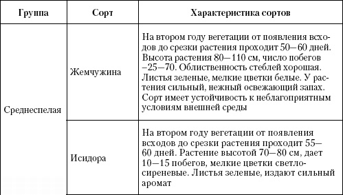 Большая энциклопедия дачника Большая энциклопедия дачника