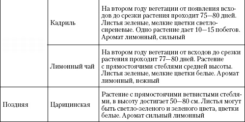 Большая энциклопедия дачника Большая энциклопедия дачника