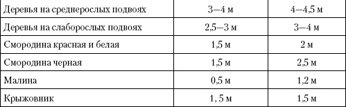 Большая энциклопедия дачника Большая энциклопедия дачника