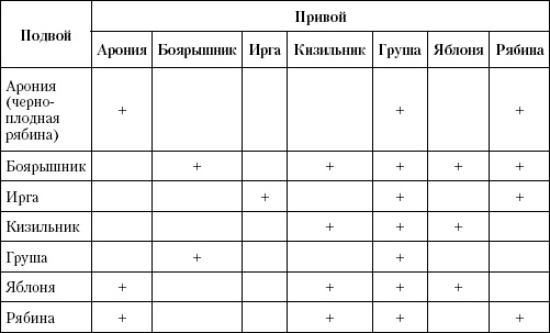 Большая энциклопедия дачника Большая энциклопедия дачника