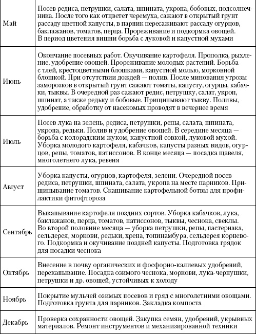 Большая энциклопедия дачника Большая энциклопедия дачника