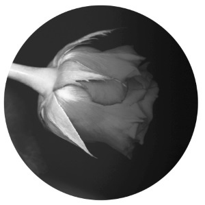 О чем молчат мужчины... когда ты рядом О чем молчат мужчины... когда ты рядом