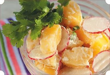 Холодные и теплые салаты. Мясные, рыбные, овощные, корейские, постные + 50 салатных заправок Холодные и теплые салаты. Мясные, рыбные, овощные, корейские, постные + 50 салатных заправок