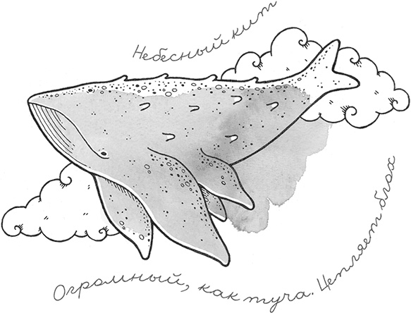 Охотники за облаками Охотники за облаками